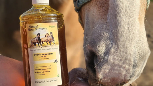 Lijnzaadolie voor paarden: waarom geef je het en welke kies je?