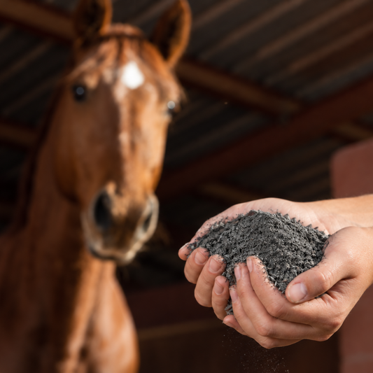 Muscle & Recovery- Eiwitmix voor sportpaarden