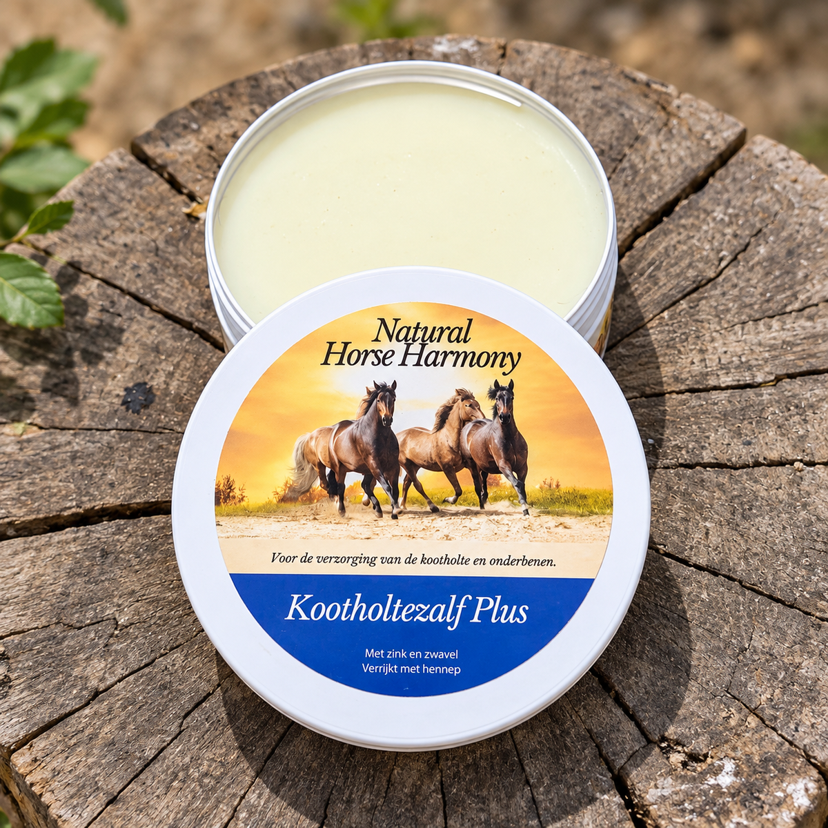 Kootholtezalf Plus