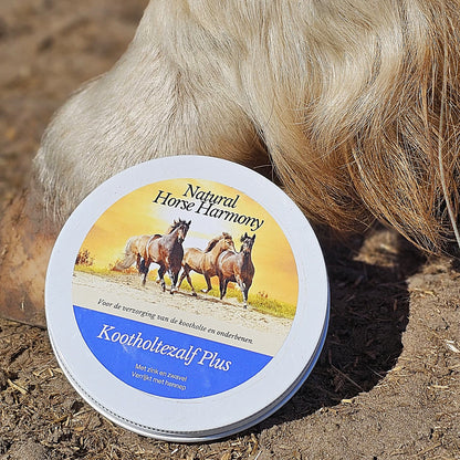 Kootholtezalf Plus